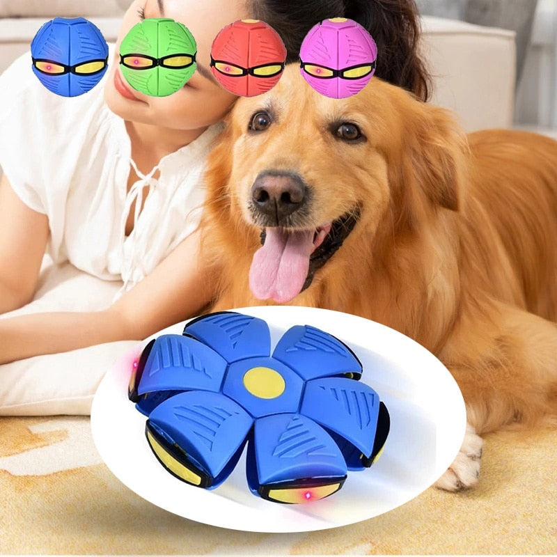 Pet Dog Toys Flying Saucer Ball